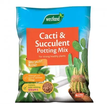 Westland cacti succulent potting mix for healthy plants, specialist blend for drainage and growth.