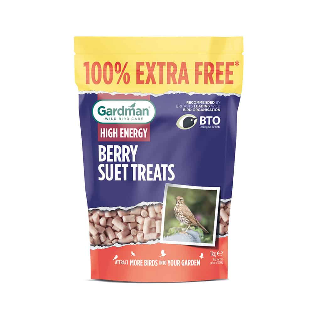 High energy bird treats for garden birds, berry suet treats, attract more birds to your garden.