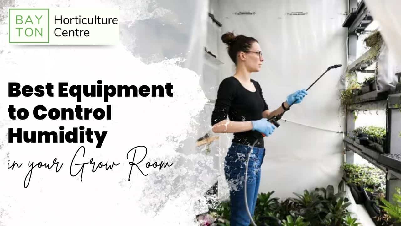Best Equipment to Control Humidity in your Grow Room