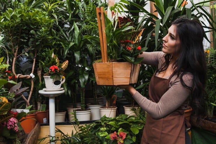 Lush indoor plant shop at Bayton Horticulture Centre with woman arranging potted plants and garden flowers in a basket.
