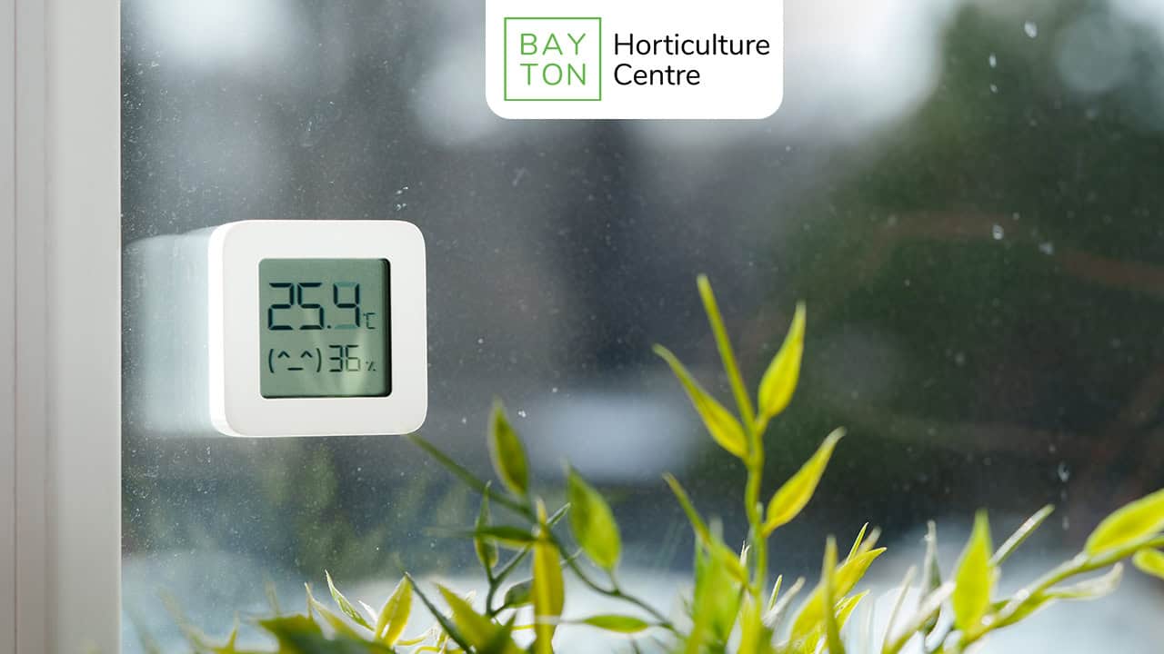 Temperature and humidity monitor near indoor plants at Bayton Horticulture Centre.