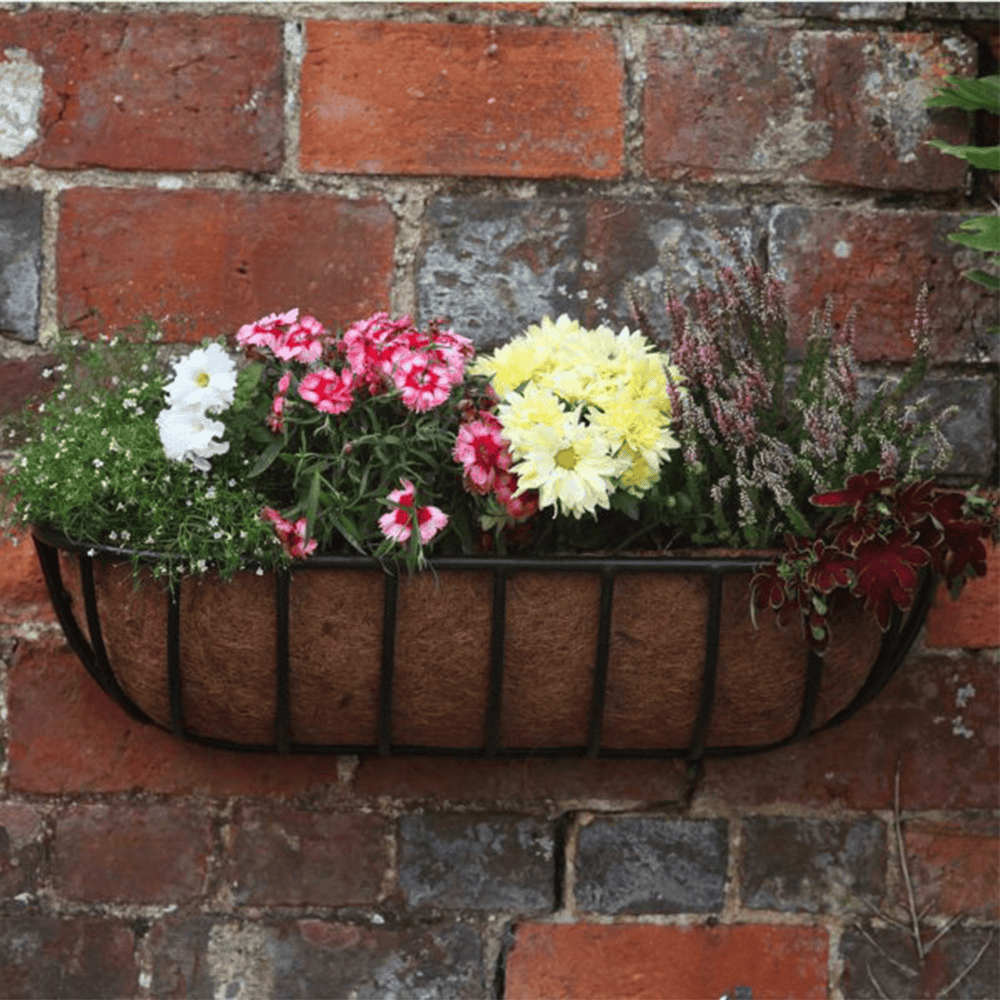 Pink, yellow, and white flowering plants in a hanging basket at Bayton Horticulture Centre.