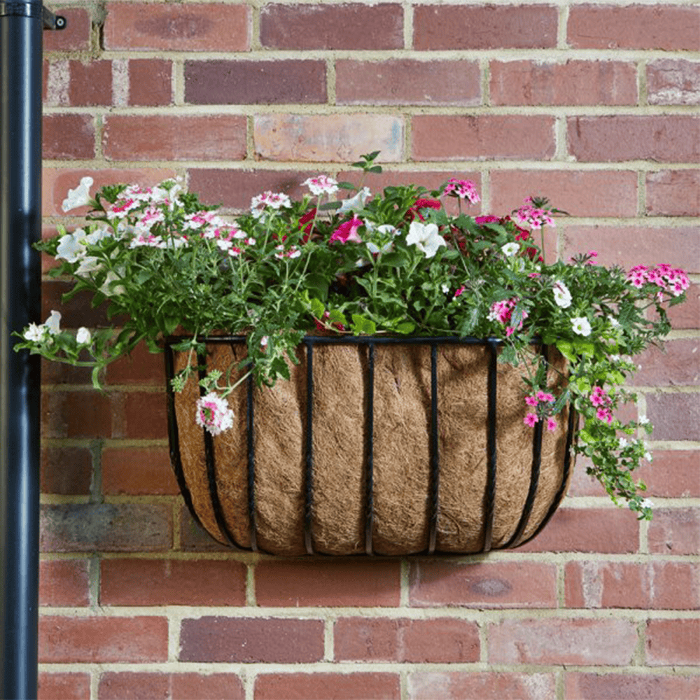 Colourful flowering plants in hanging basket at Bayton Horticulture Centre, perfect for garden decoration.