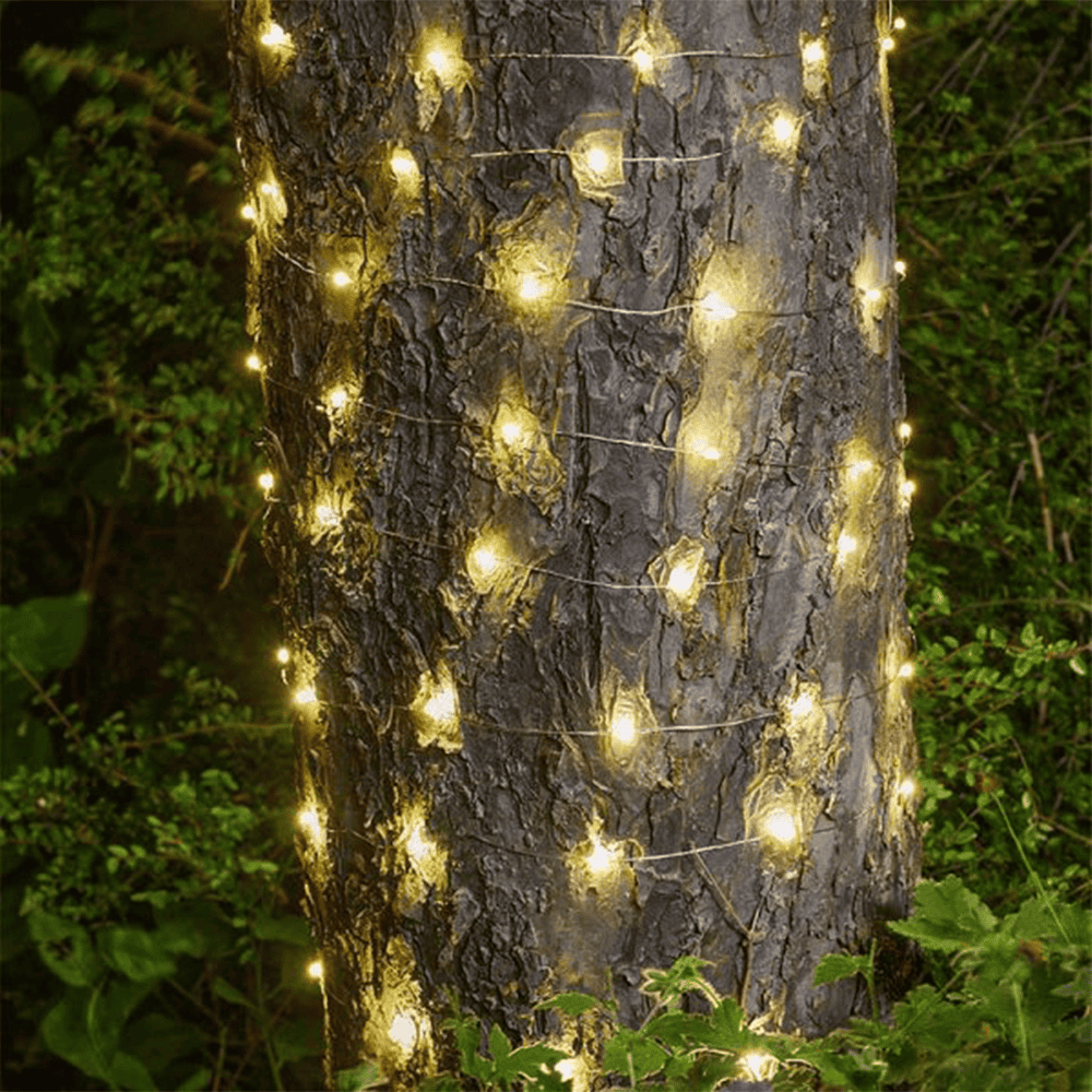String lights on tree trunk for garden decoration.