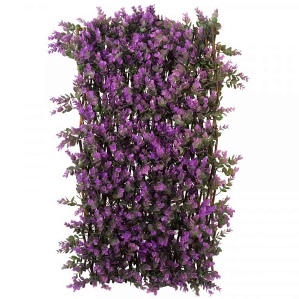 Violet flowering shrub for garden landscaping at Bayton Horticulture Centre.