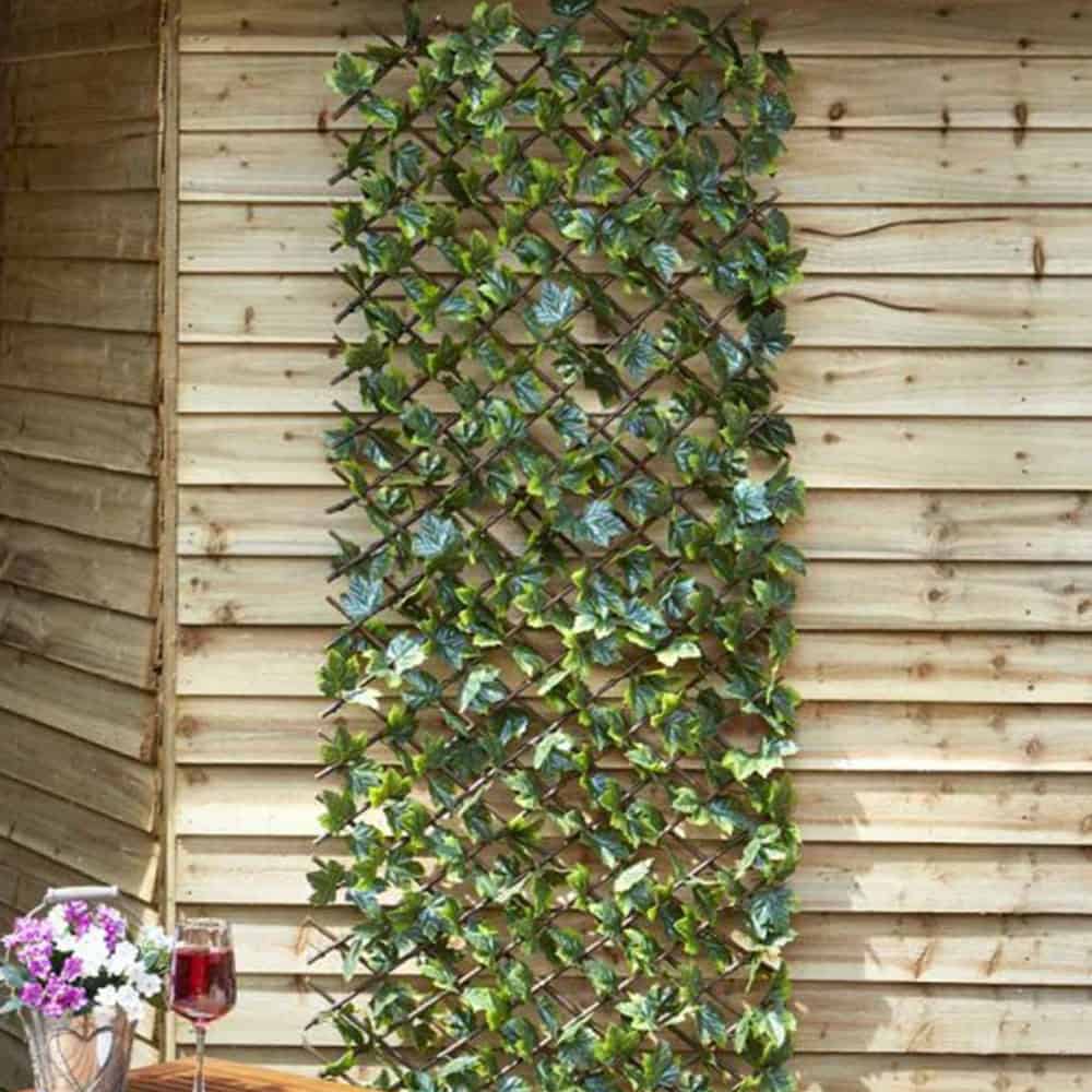 Lattice trellis with ivy plant at Bayton Horticulture Centre.