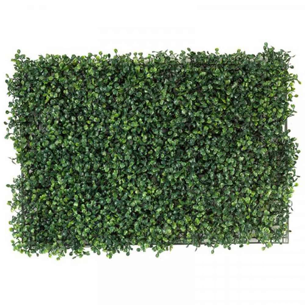 Lush green hedge plant from Bayton Horticulture Centre, ideal for garden landscaping.
