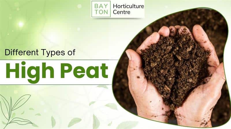 High peat soil in hands for gardening at Bayton Horticulture Centre.