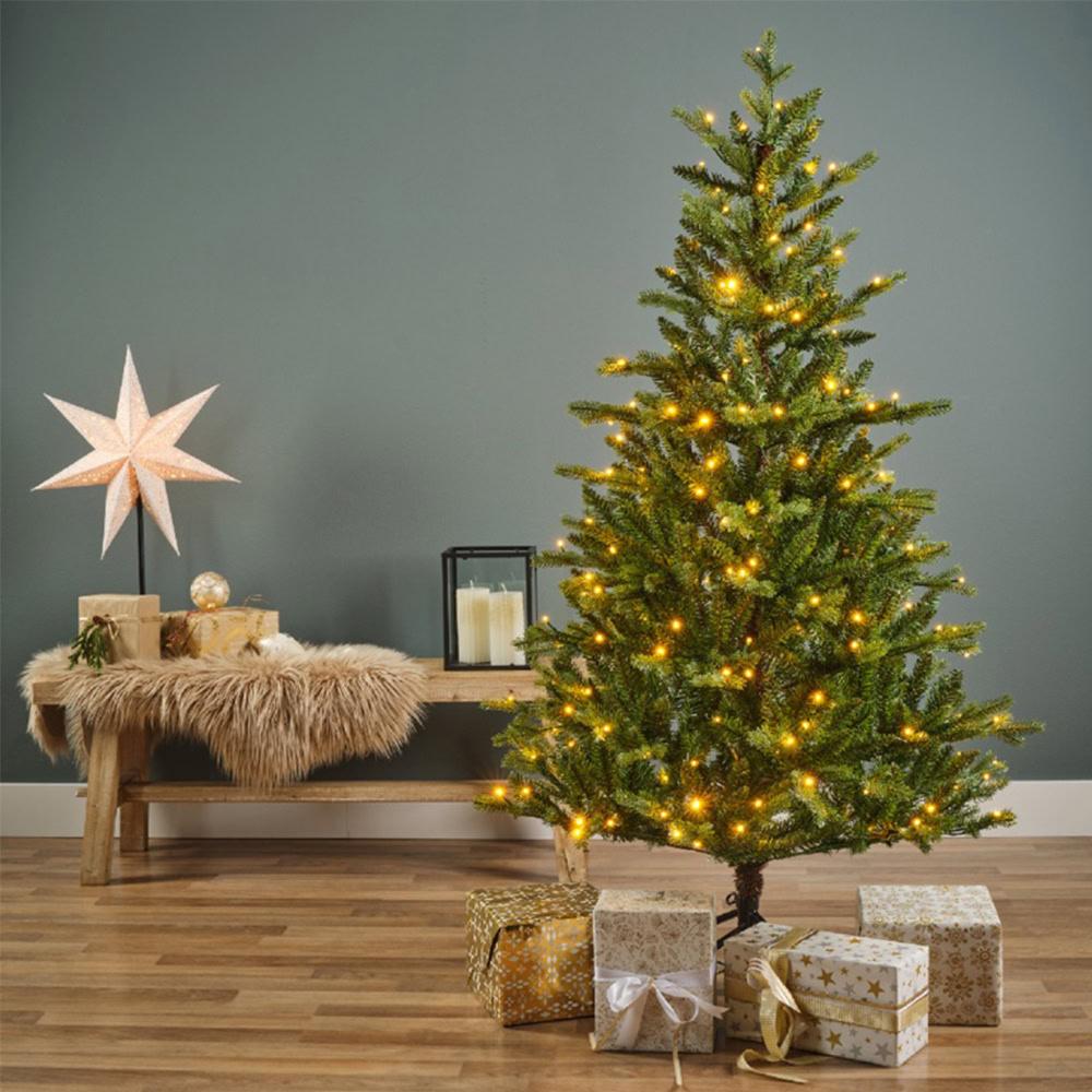 Lush Christmas tree with warm string lights at Bayton Horticulture Centre.