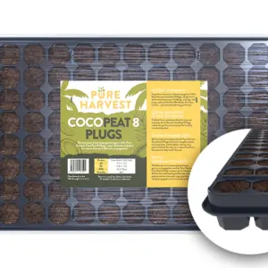 Organic seed-starting tray with Cocopeat plugs for sustainable gardening.