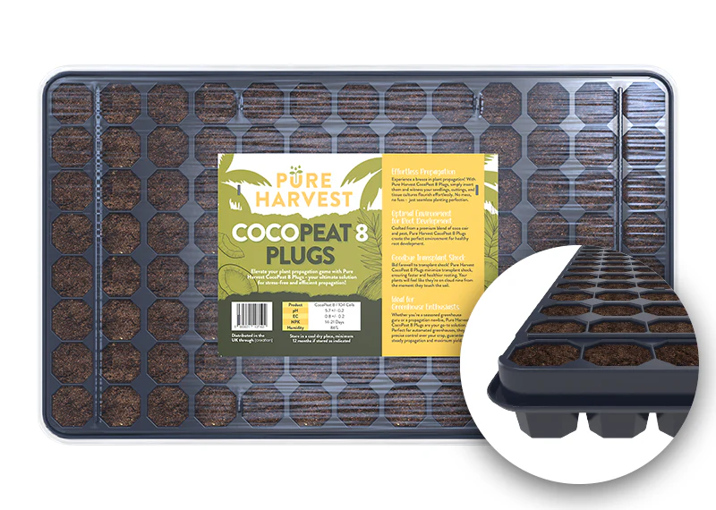 Organic seed-starting tray with Cocopeat plugs for sustainable gardening.