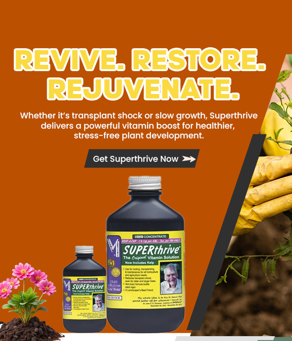 Superthrive plant supplement bottles for healthy, stress-free plant growth.