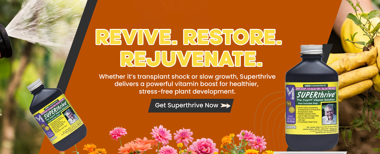 Garden plants with Superthrive plant growth supplement at Bayton Horticulture Centre.