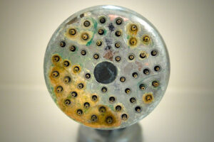 Close-up of a showerhead showing mineral buildup on the nozzles—Black Diamond Experts ensure your home's comfort and safety, 24/7.