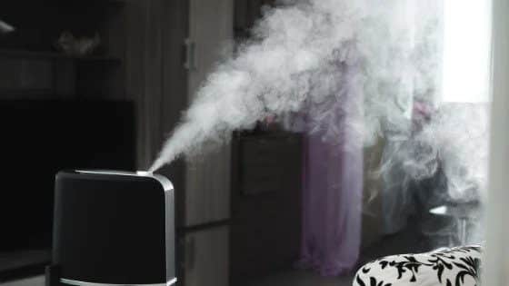 A black humidifier gently mists a cozy room with a floral sofa and soft lighting, reflecting full-service home comfort expertise.