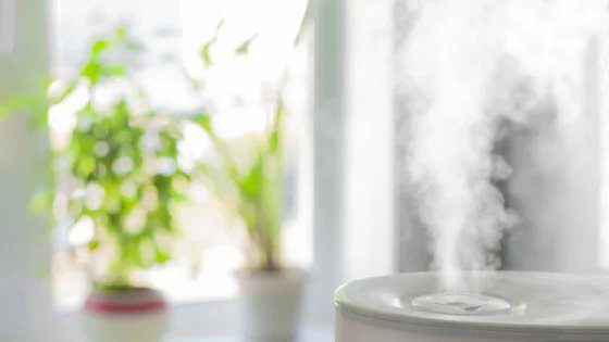 A white humidifier releases soothing mist in a sunlit room, symbolizing Black Diamond Experts’ trusted 24/7 home comfort services.