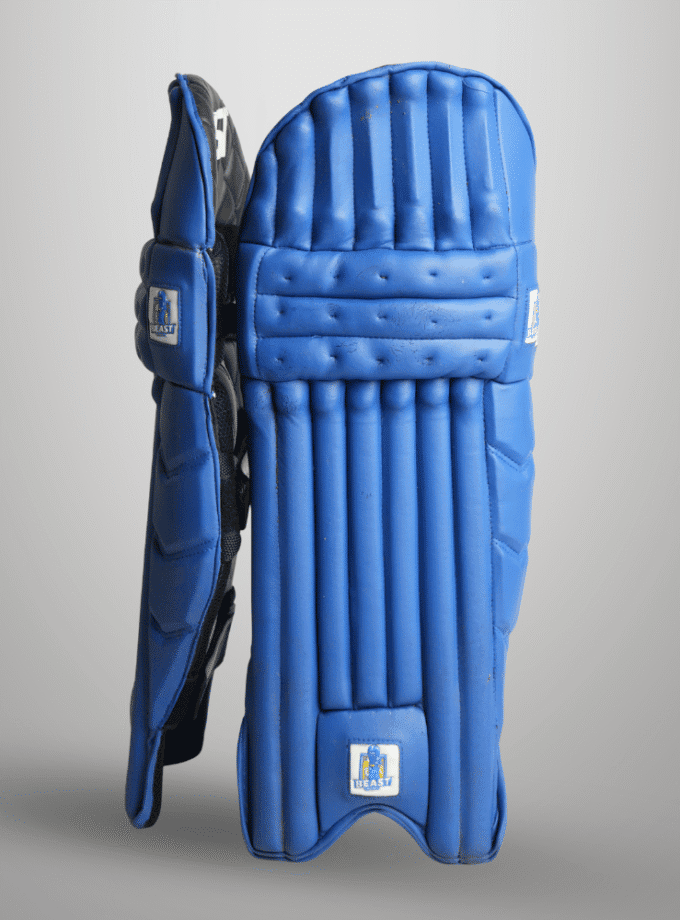 Lightweight Cricket Batting Pads | Blue