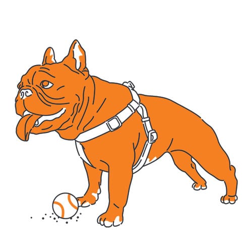 Beast CBD Dog Treats French Bulldog Illustration
