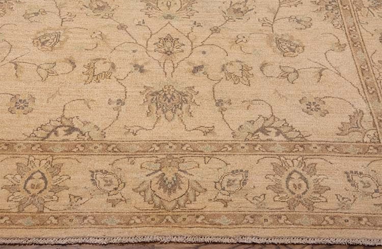 6x9 rug, Hand knotted Pakistani transitional rug in earth tone colors made of wool.