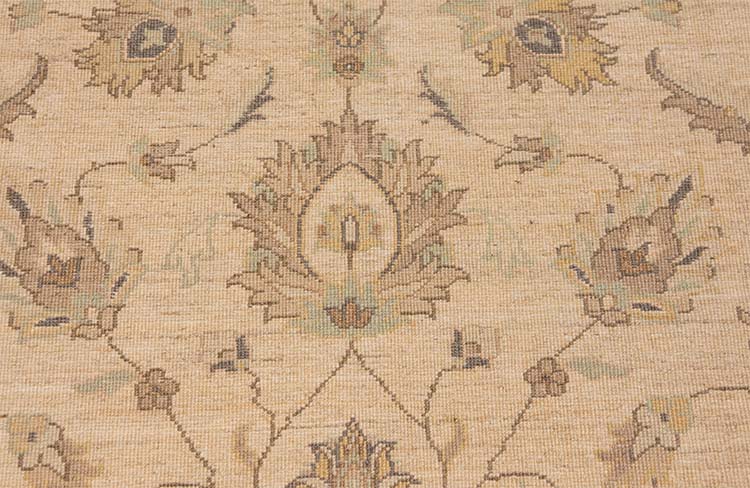 6x9 rug, Hand knotted Pakistani transitional rug in earth tone colors made of wool.