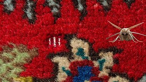 Image of a red rug and a moth for tips on how to get rid of rug moths