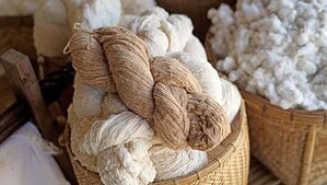 Samples of silk fibers in white and brown colors placed in baskets.