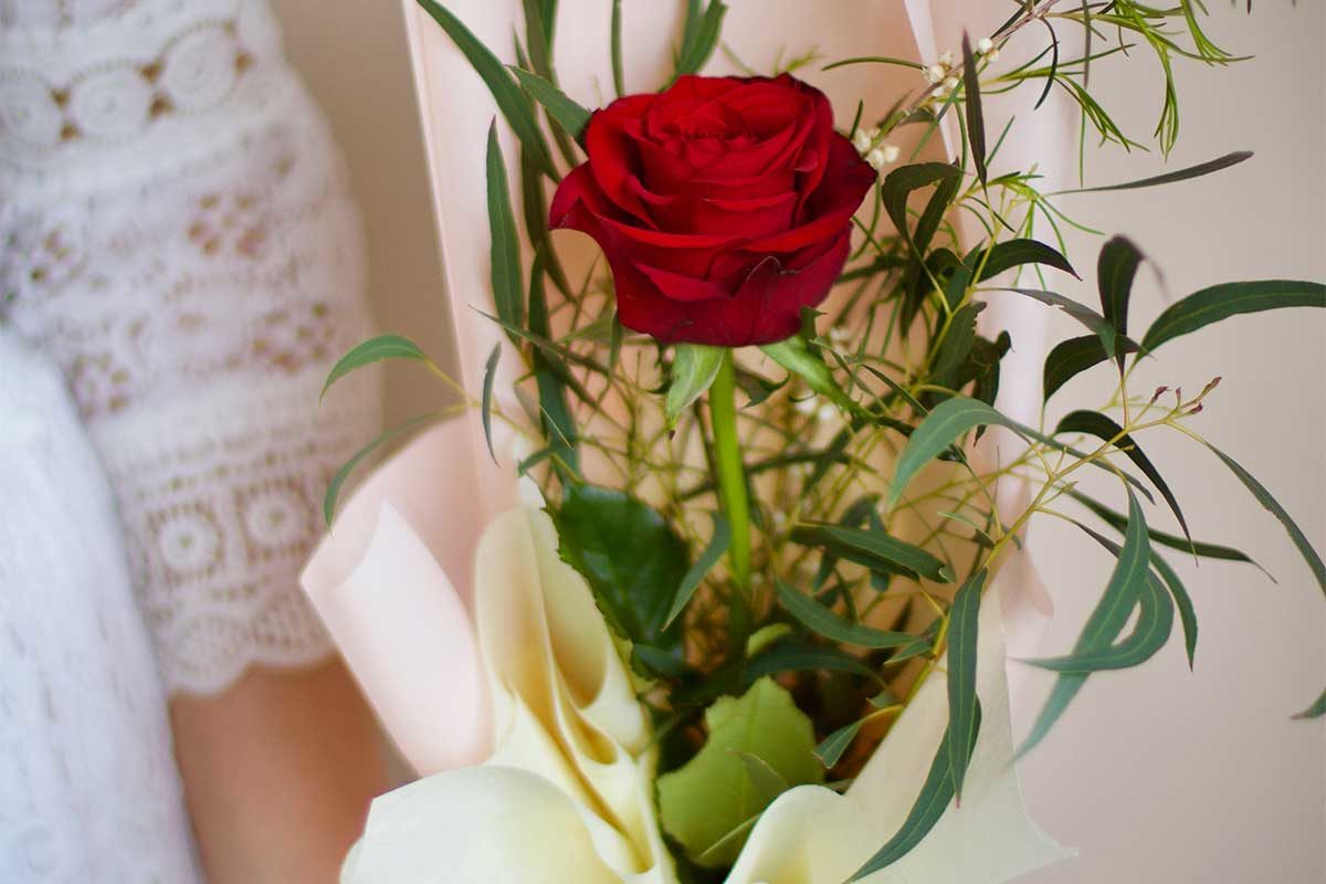 Single Rose B