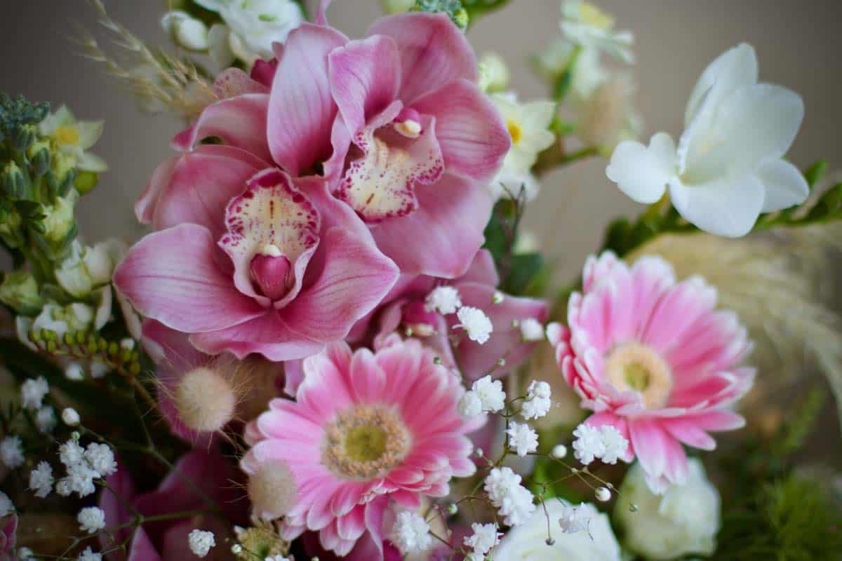 Flower Box - Image 2