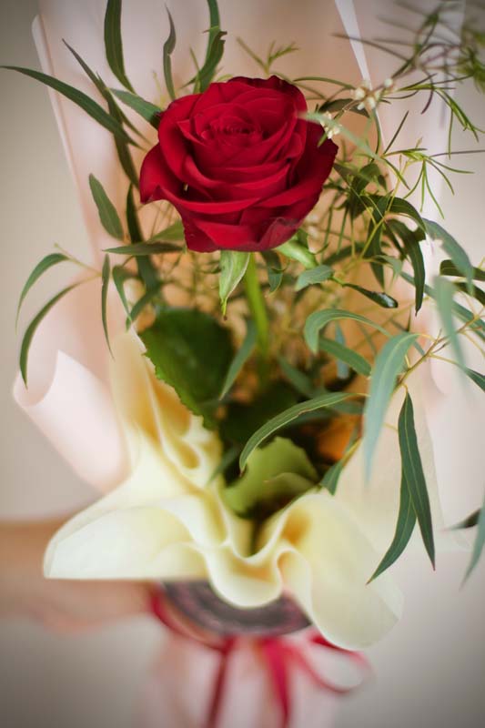 Single Rose B - Image 4