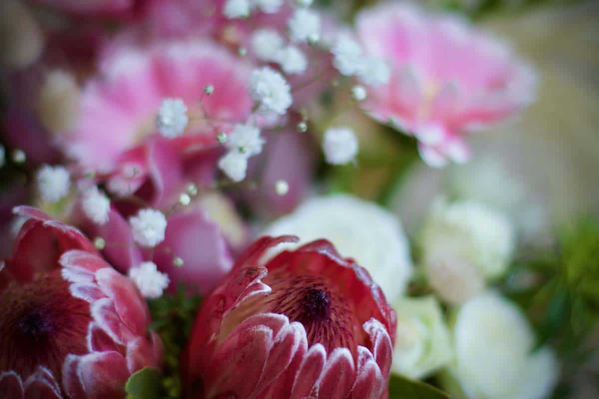 Flower Box - Image 3