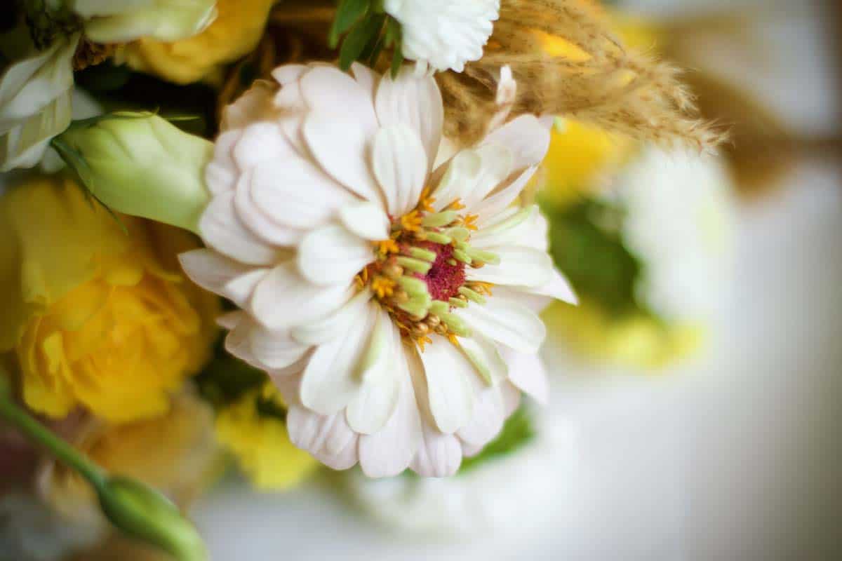 Sunshine Yellow Bouquet - Image 5