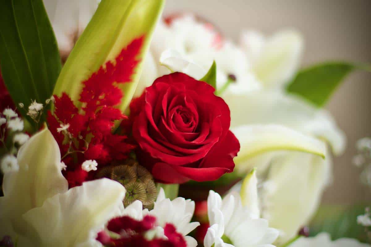 Red & White Christmas Bouquet - Image 3