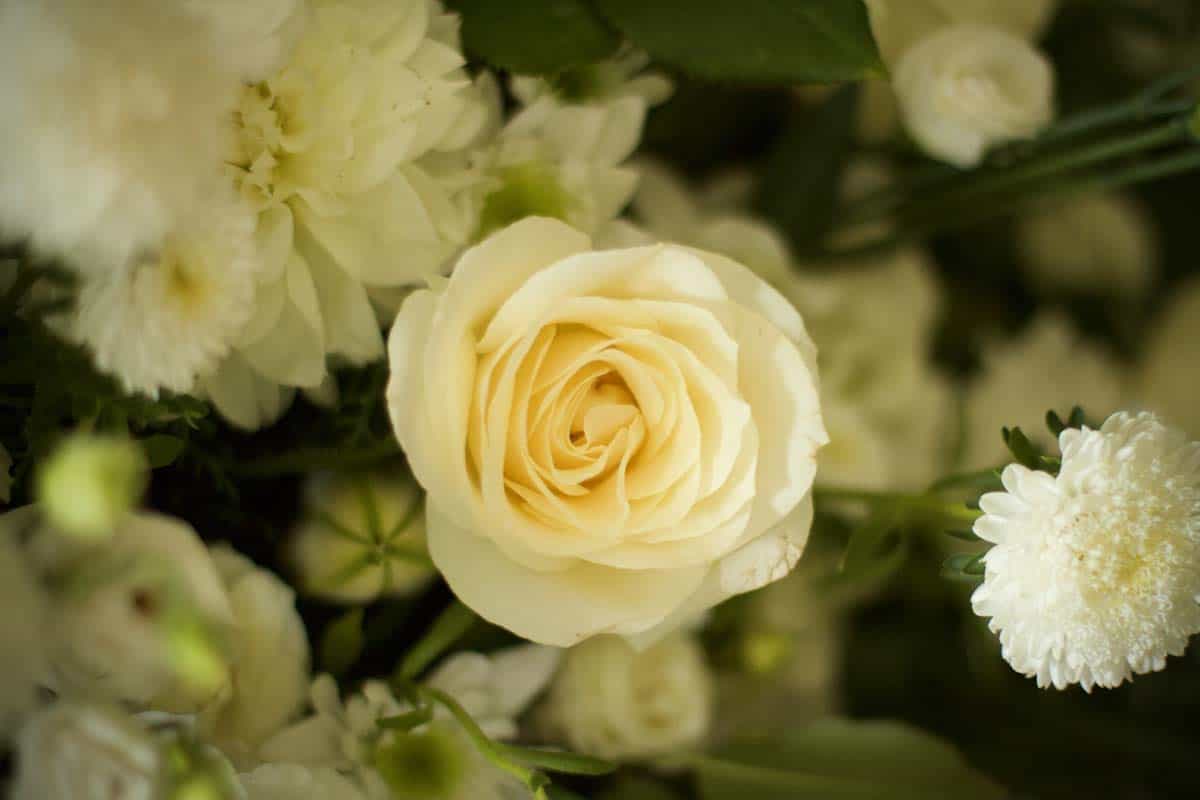 Elegant White Funeral Casket Spray - Image 4