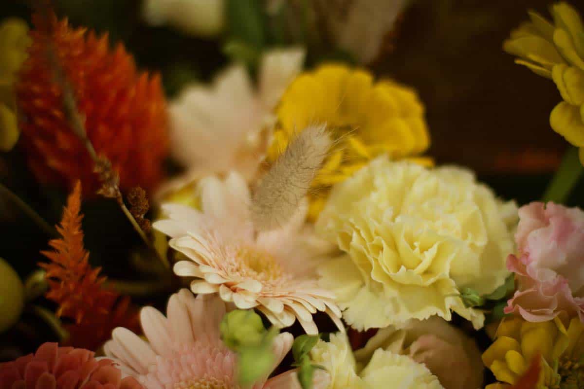 Bunny Tail Flower Bouquet - Image 4