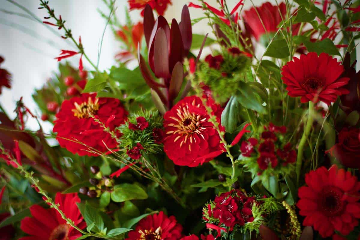 Deep Scarlet Farewell Spray - Image 3