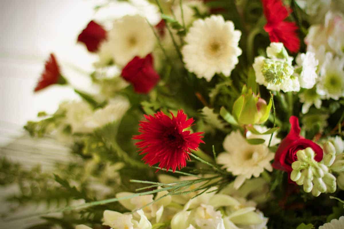 Harmony of Love Casket Spray - Red and White Elegance - Image 4