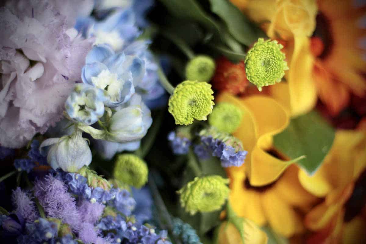 Colourful Rainbow Flower Bouquet - Image 3