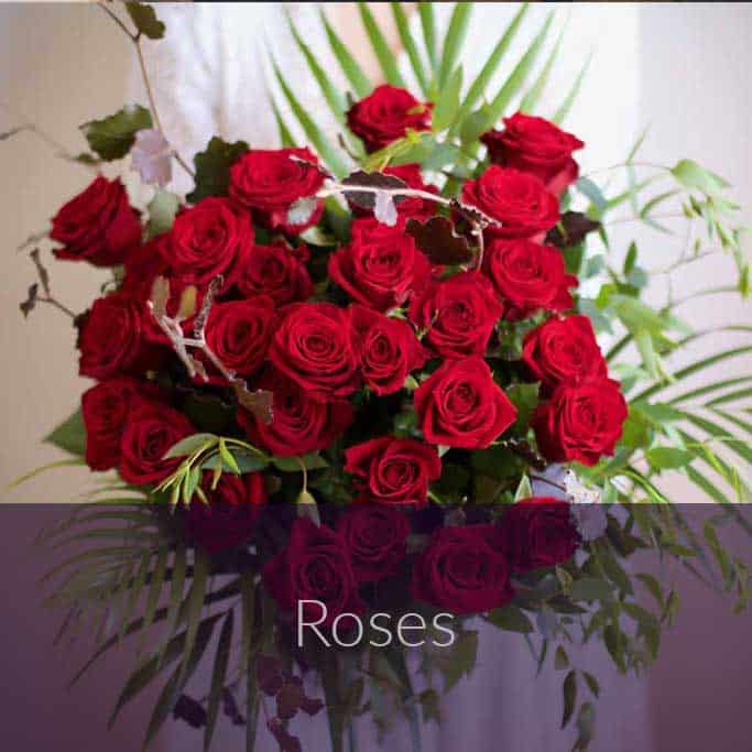 Roses