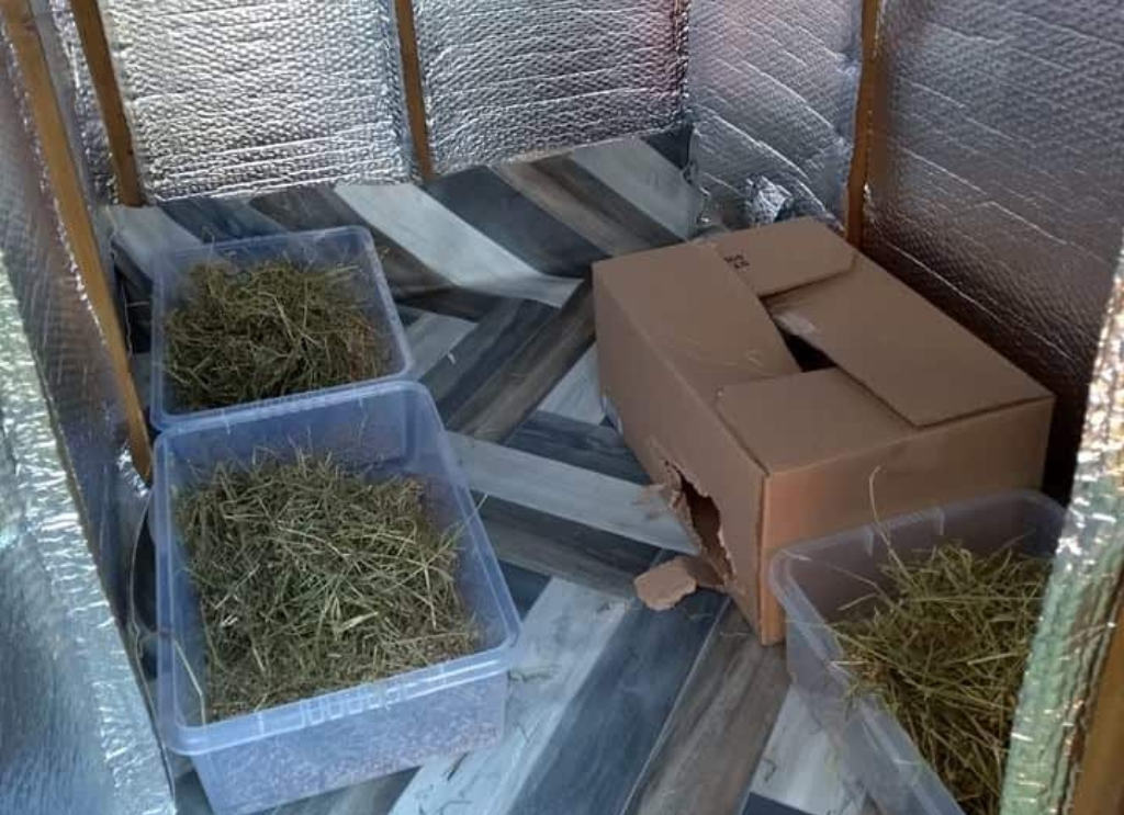 Sheltered Insultated Shed