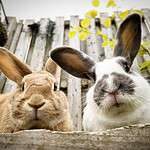 Front Page Banner Image January 2024