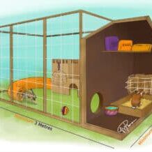 Latest RWAF Recommendations are for combined environments of 3m x 2m