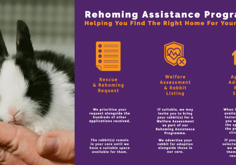 RAP Surrender Overview