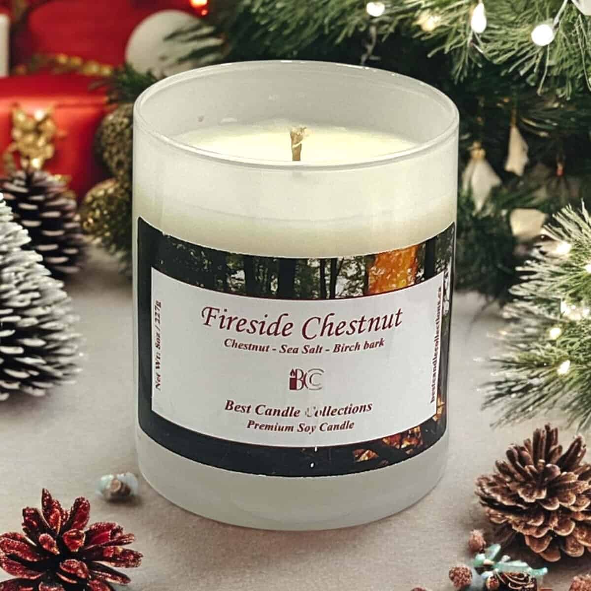 Fireside Chestnut soy candle with chestnut, sea salt, and birch bark notes. Perfect for cozy winter.