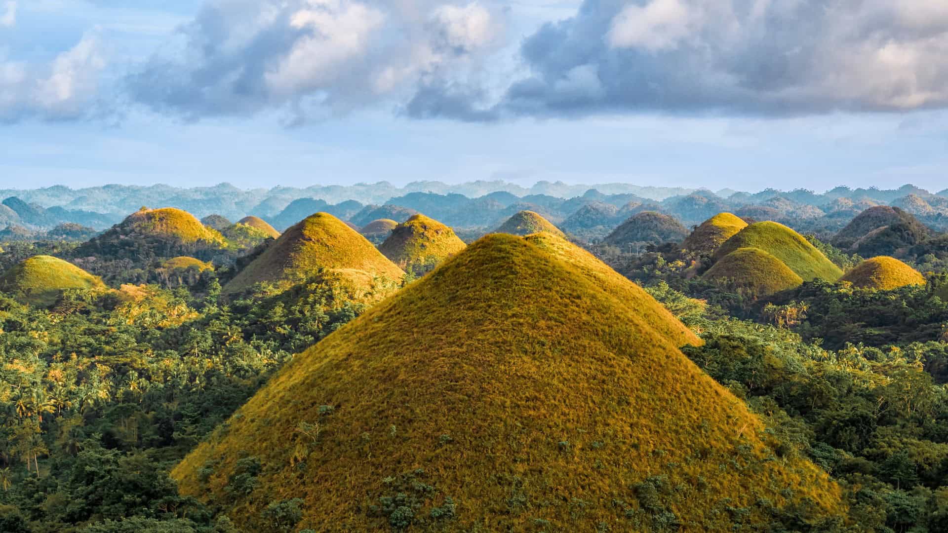 Round grassy hills forming a unique karst landscape