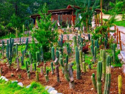 Gaia Sagrada Retreat