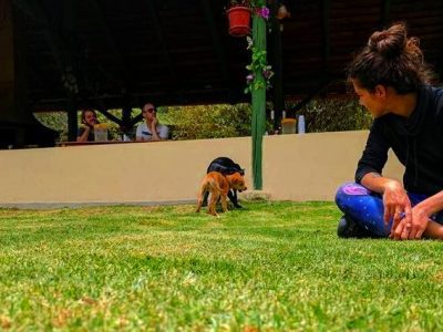 Gaia Sagrada Retreat