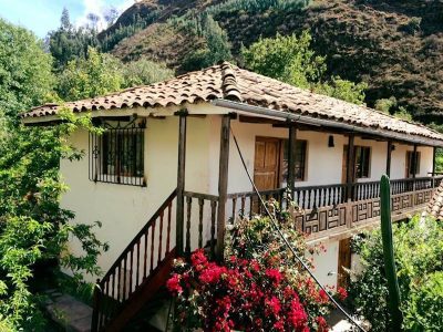 Spirit Plant Journeys