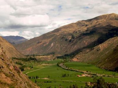 Spirit Plant Journeys