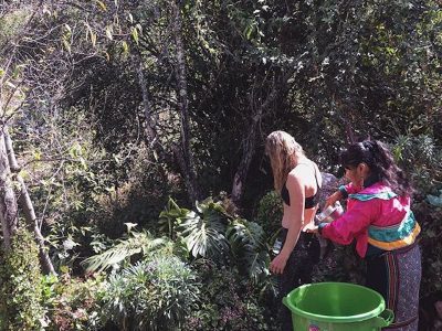 Spirit Plant Journeys