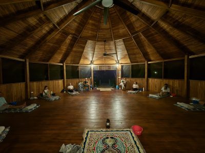 New Life Rising - Ayahuasca Retreat Costa Rica